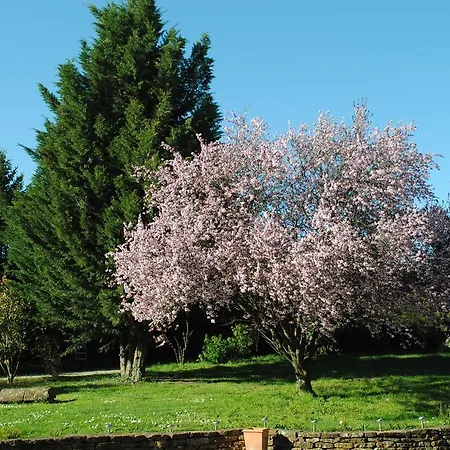 Domaine Des Vignes D'hotes Guest house *