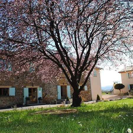 Guest house Domaine Des Vignes D'hotes Bagnols (Rhone)